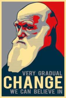 Darwin Poster